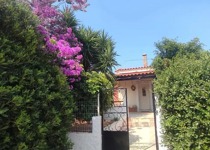 Olive Grove Cottage Skalani