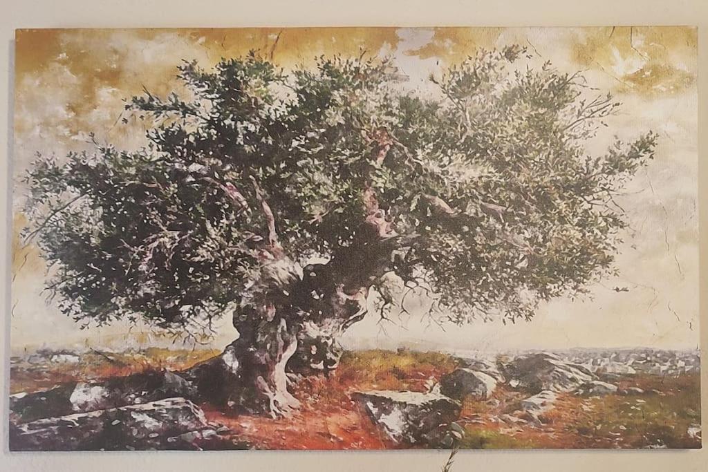 Holiday home Olive Grove Skalani *