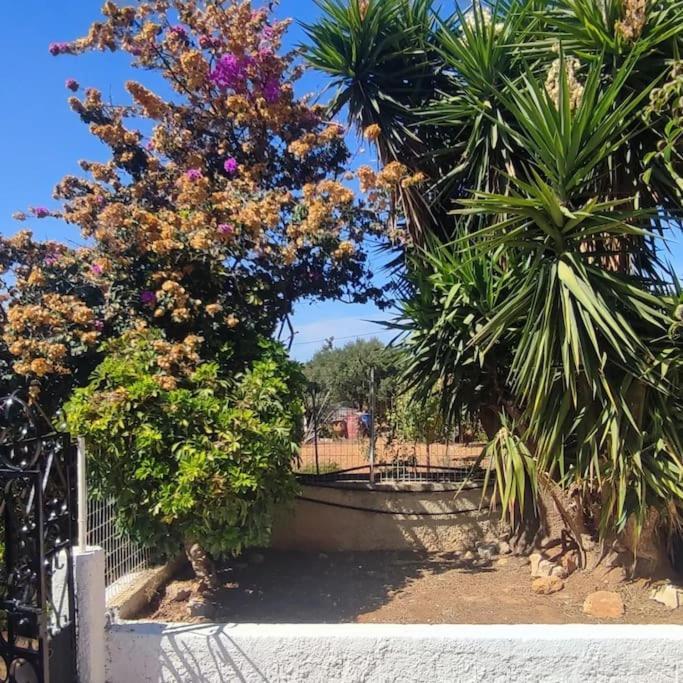 Olive Grove Skalani Holiday home Knosos