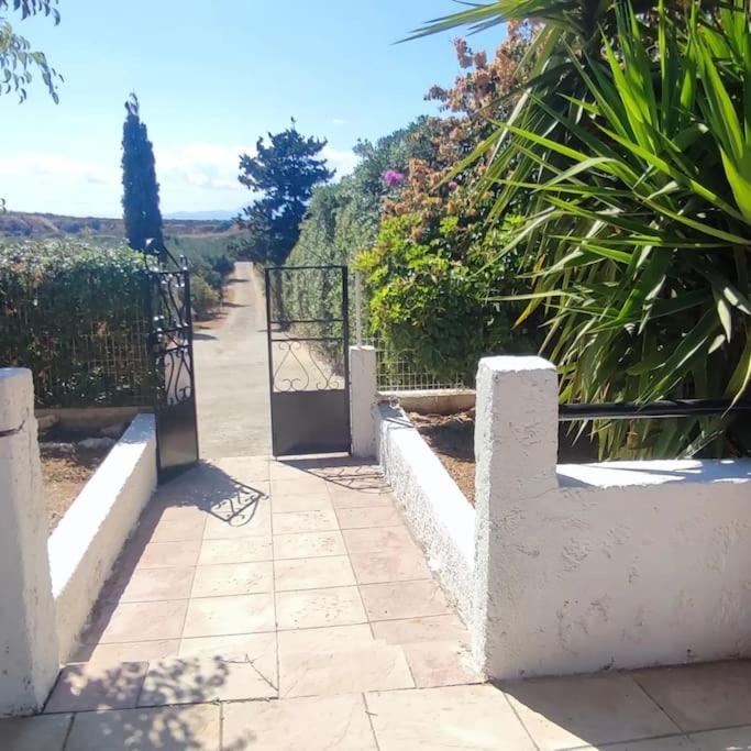 Holiday home Olive Grove Skalani